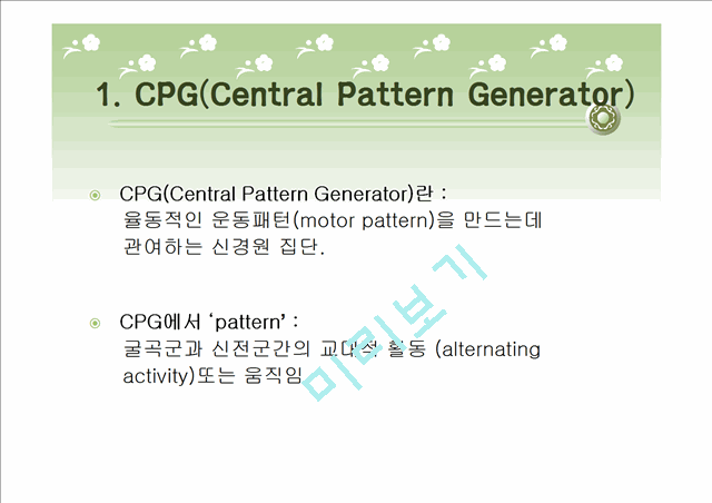 [의학][소아물리치료] 보행에서  Central Pattern Generator [CPG]에 대한 이해   (3 )